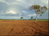Zona Rural - Cassil