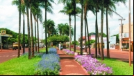 Avenida Dorvalino, Sidrol