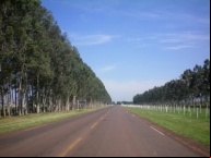 Chegando 
